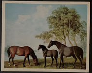 1960s Blue Bonnets Richeliu Raceways Christmas Card Champion Horse Goldfinger