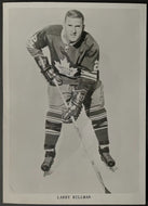 1968-69 NHL Hockey Toronto Maple Leafs Larry Hillman Team Issued Photo Vintage