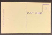 Load image into Gallery viewer, 1948 Vintage Horse Racing Postcard Triple Crown Winner Unposted Hialeah Races

