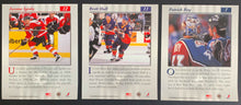 Load image into Gallery viewer, 1997-98 Donruss Studio Portrait Cards 8 Different Players Messier Roy Hull +
