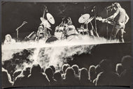 1977 Pink Floyd Type 1 Photograph In The Flesh Animals Tour Rock & Roll LOA