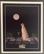 Load image into Gallery viewer, 2000 Movie Collage + Publicity Photo Cast + Crew Like Cats &amp; Dogs
