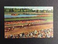 Circa 1940 Hialeah Horse Racetrack Postcard Florida USA Miami Jockey Club