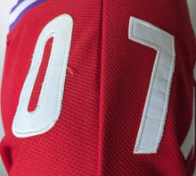 Load image into Gallery viewer, Shania Twain UP! Tour Hockey Jersey 06 + 07 Shoulder Patches Medium Pop Country
