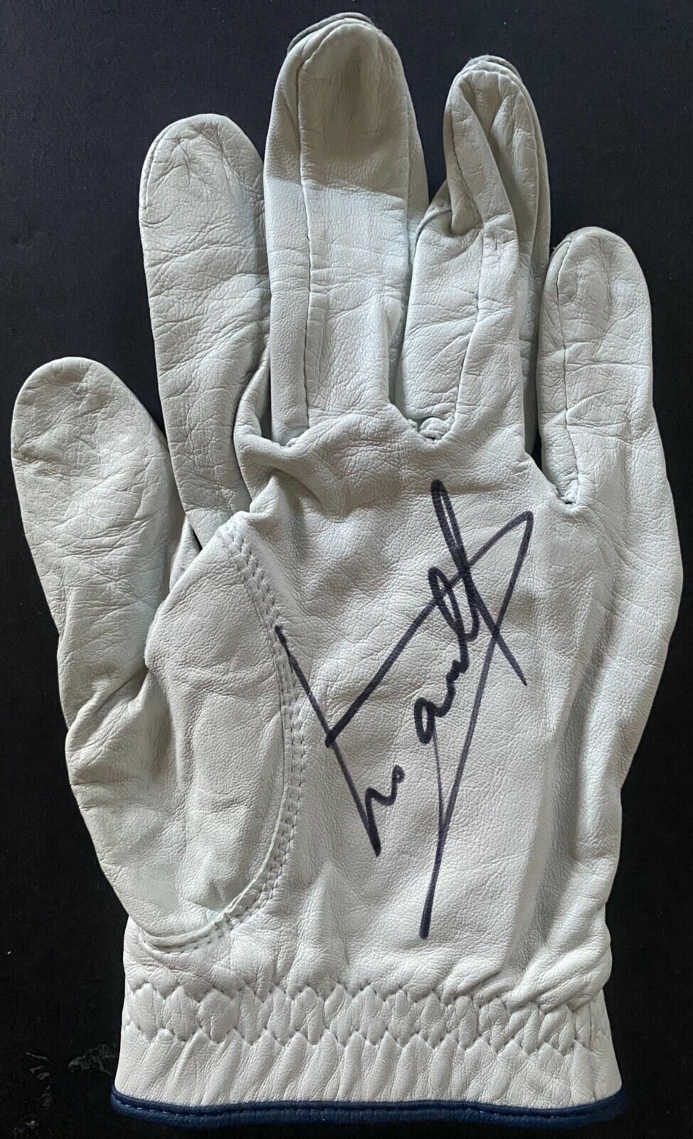 Luke Donald Autographed PGA Tour Pro Tournament Used Golf Glove Signed