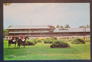 1960s Saratoga Race Track Postcard Vintage Horse Racing Saratoga Springs NY