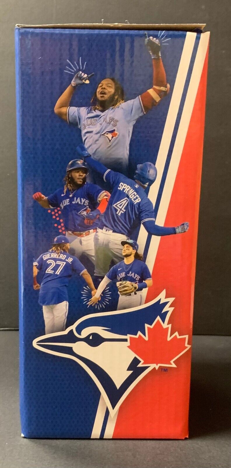 Vladimir Guerrero Jr. Toronto Blue Jays Framed Showcase Bobblehead MLB at  's Sports Collectibles Store