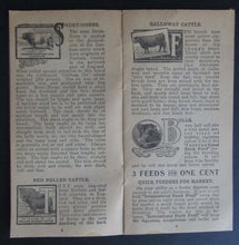 Load image into Gallery viewer, 1900s Promotional Agricultural Booklet Issued By International Stock Food Co.
