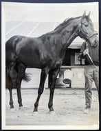 1959 New Providence Type 1 Photo Woodbine Racetrack Canadian Triple Crown VTG