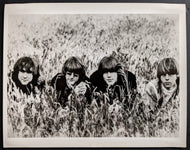 1966 The Byrds Type 1 Photograph Columbia Records Famous 60's American Band LOA