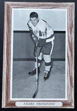 Load image into Gallery viewer, 1950-64 Beehive Corn Syrup Group 3 Hockey Photo Andre Pronovost NHL

