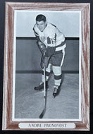 1950-64 Beehive Corn Syrup Group 3 Hockey Photo Andre Pronovost NHL