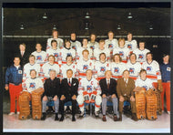 1973-74 WHA Hockey Toronto Toros Inaugural Season Team Issued Photo Vintage
