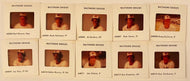 1978 MLB Baseball American League 35mm Slides (10) Baltimore Orioles Jim Palmer