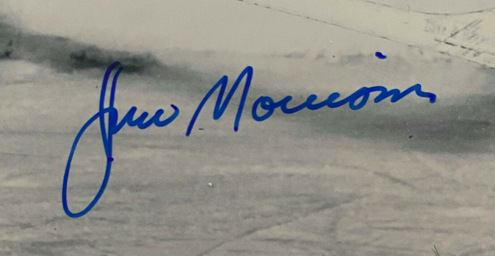 Jim Morrison Autographed NHL Hockey Photo Toronto Maple Leafs
