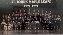 Load image into Gallery viewer, 1995/96 St. John’s Maple Leafs Framed AHL Team Hockey Photo
