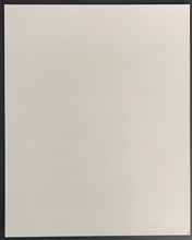 Load image into Gallery viewer, Montreal Canadiens 100th Anniversary Gameday Giveaway Mint Condition
