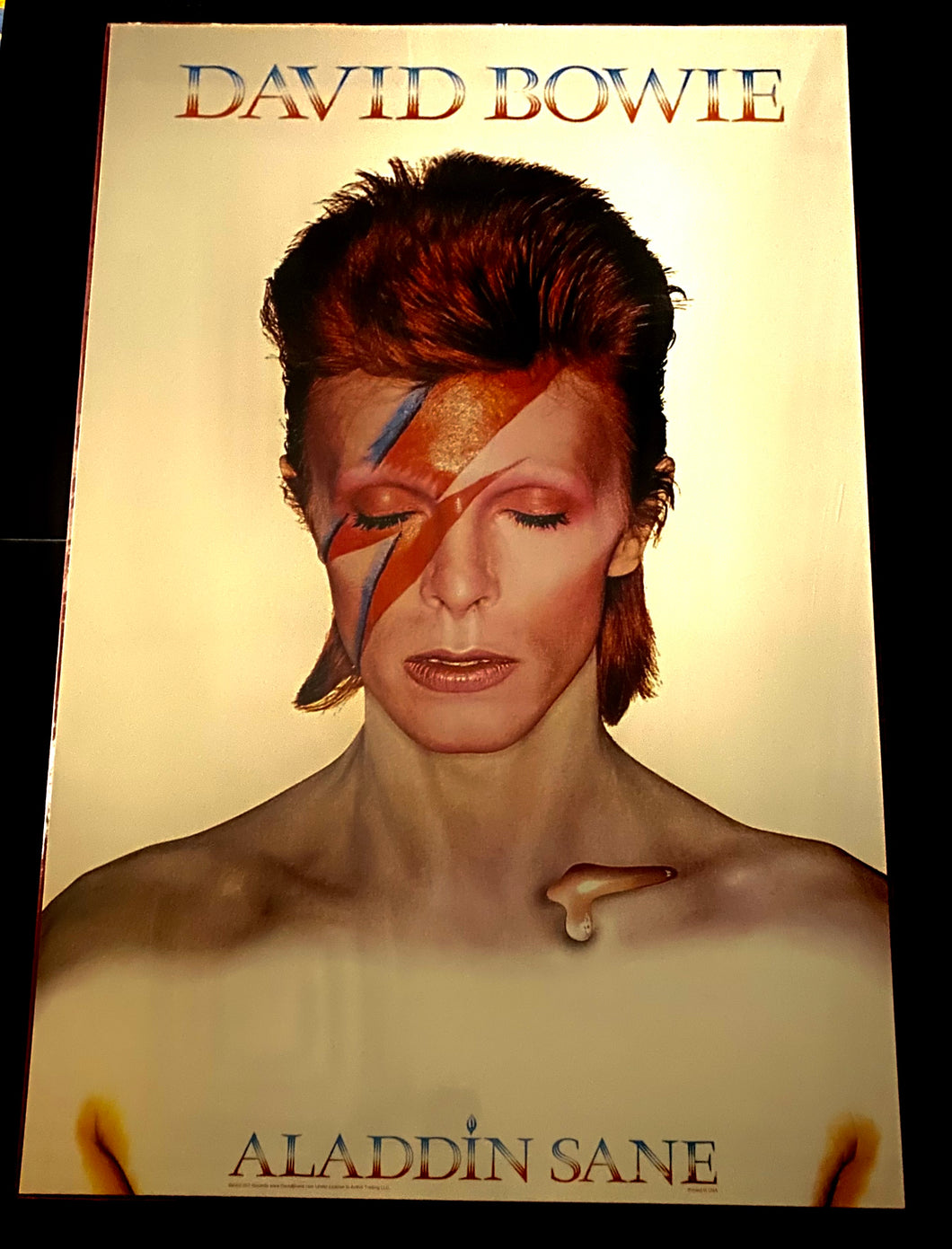 David Bowie Aladdin Sane Album Art Shrink Wrapped on Foam Core Poster