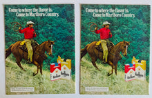 Load image into Gallery viewer, 1976 San Francisco Giants Baseball Program Lot Of 2
